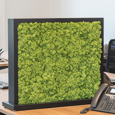 Mosstavla som avdelare på skrivbord