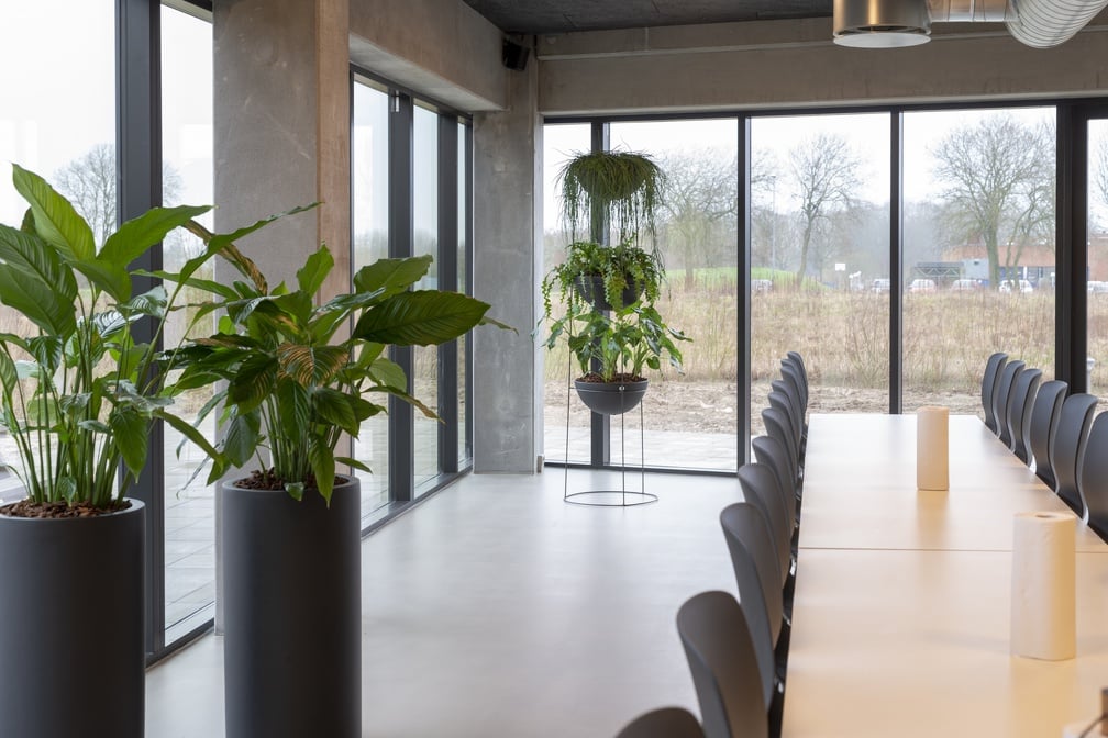 Allegria ställning 200 med 3 svarta runda skålar i kontor med växter och stora fönster