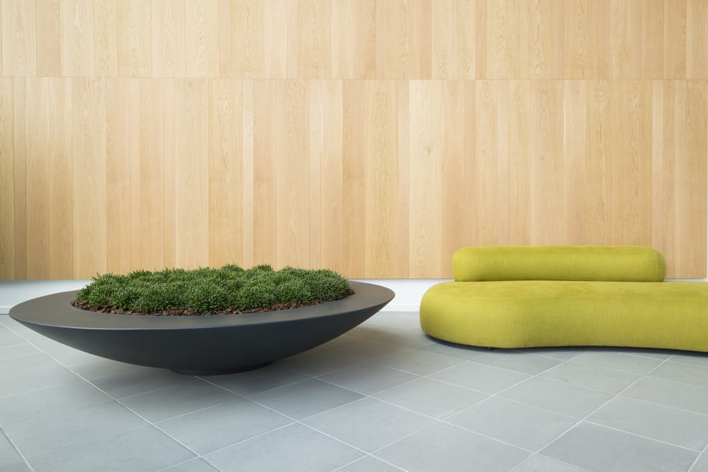 Svart skålformad kruka med moss/växtliv på ljus inomhusmiljö med trävägg och ljust golv