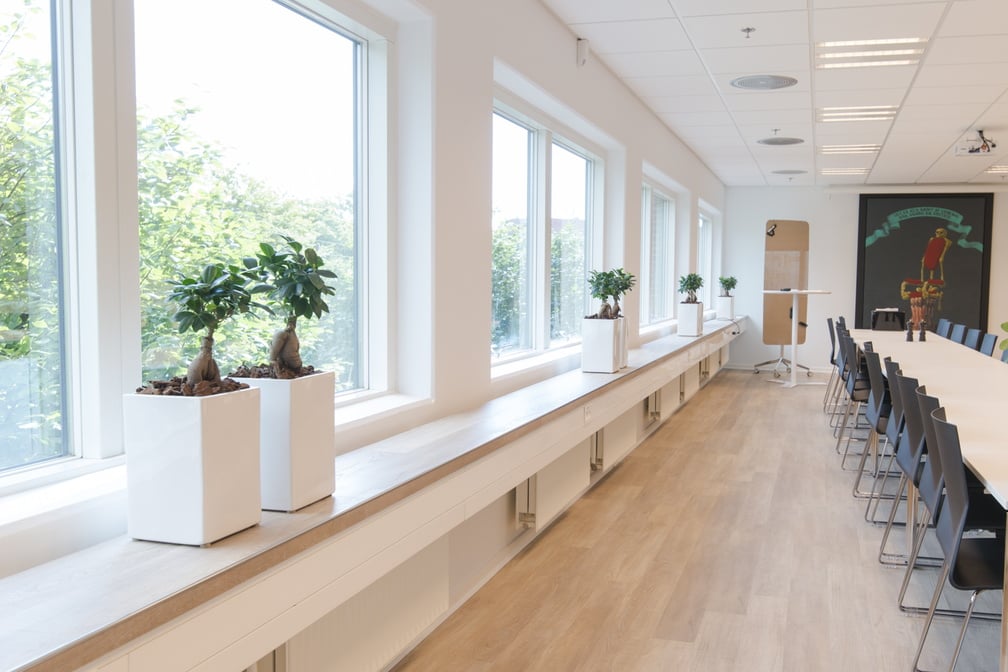 Moderna vita kvadratiska krukor på fönsterbräda i ljust kontorsmiljö med växter