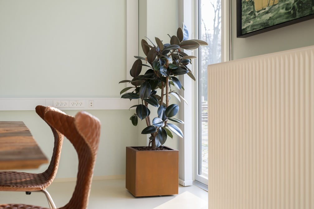 Cortensteel-kruka med mörk lövväxt på interiörbänk vid fönster, moderna möbler synliga