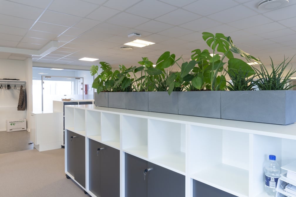 Balcony Fiberstone rektangulära krukor i grått uppställda på modulskåp i kontorsmiljö