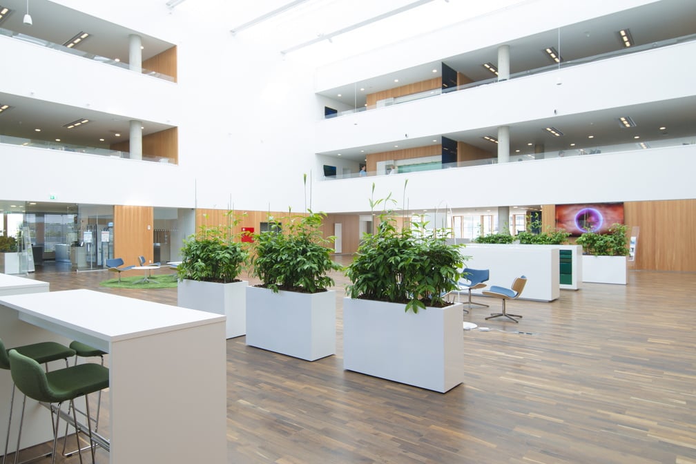 Dominica m hjul i modernt kontorsmiljö med vita rektangulära planteringskärl innehållande gröna växter