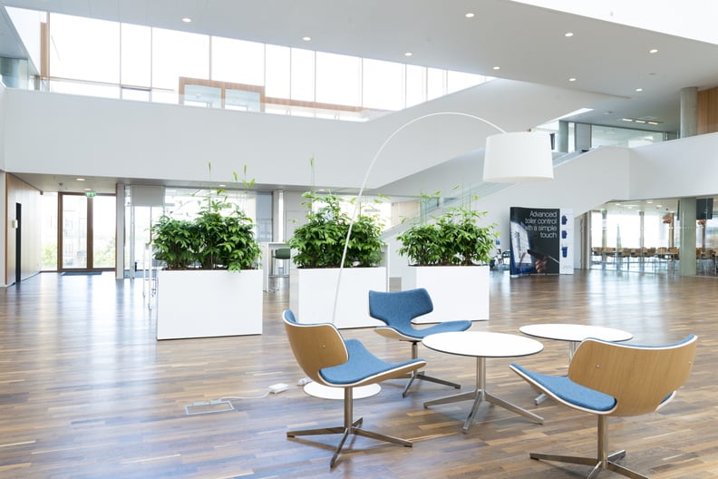 Moderna vita planteringskärl med växter i ljus kontorslokal. Dominica m hjul synlig på golv.