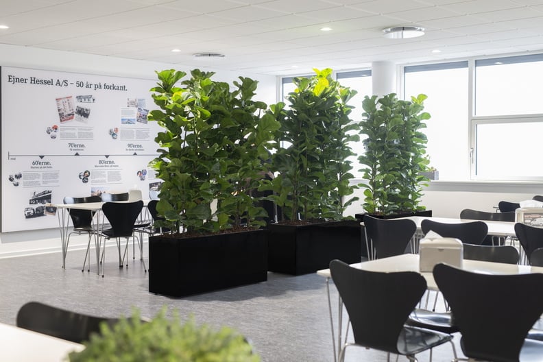 Moderna växtbehållare Dominica m hjul i kontorsmiljö med gröna växter på genomskinliga stativ