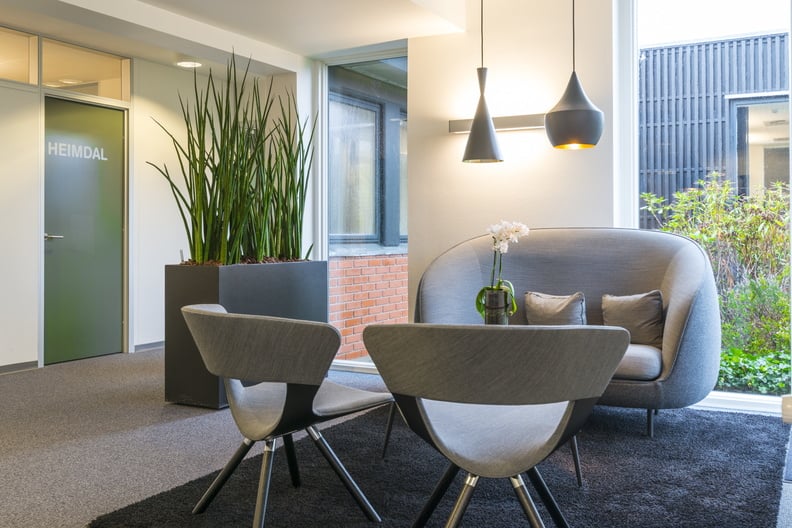 Dominica m hjul: cylindrisk kruka i modern kontorsinteriör med höga gräs och dekorativa växter