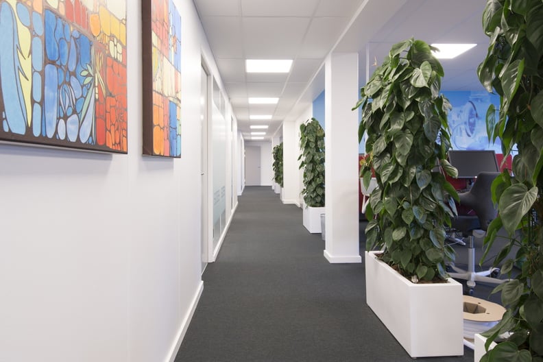 Dominica planteringskärl m hjul i vit färg, uppställd i modern kontorsmiljö med växtvägg och grå golv