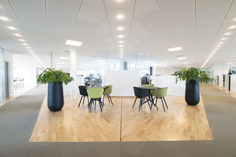 Kontorets växtdekorationssystem med svarta krukor i modern miljö