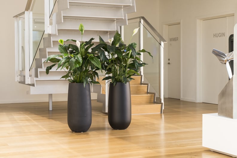 Två svarta Donga High Mat-krukor med gröna växter på trägolv i modern interiör med trappa