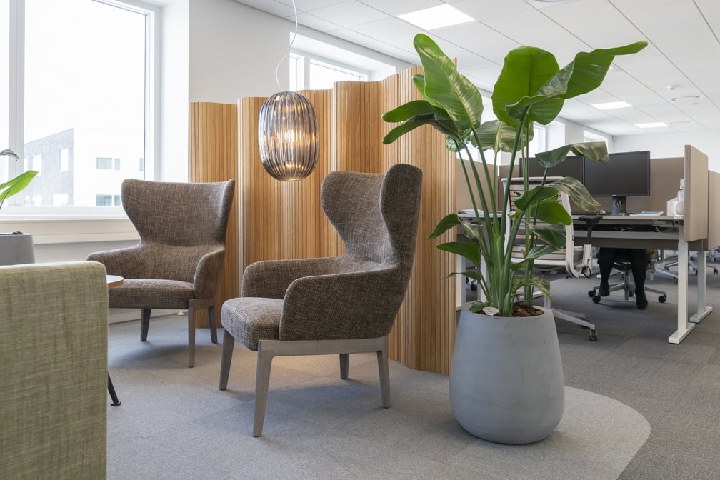 Grå cement-plantör med stor grönväxt i modernt kontorsinteriör med möbler