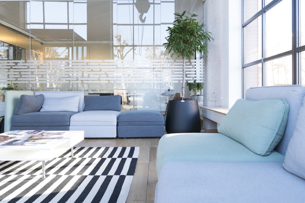 Möblerad vardagsrum med moderna möbler, stora fönster och grön hängväxt från takfäste