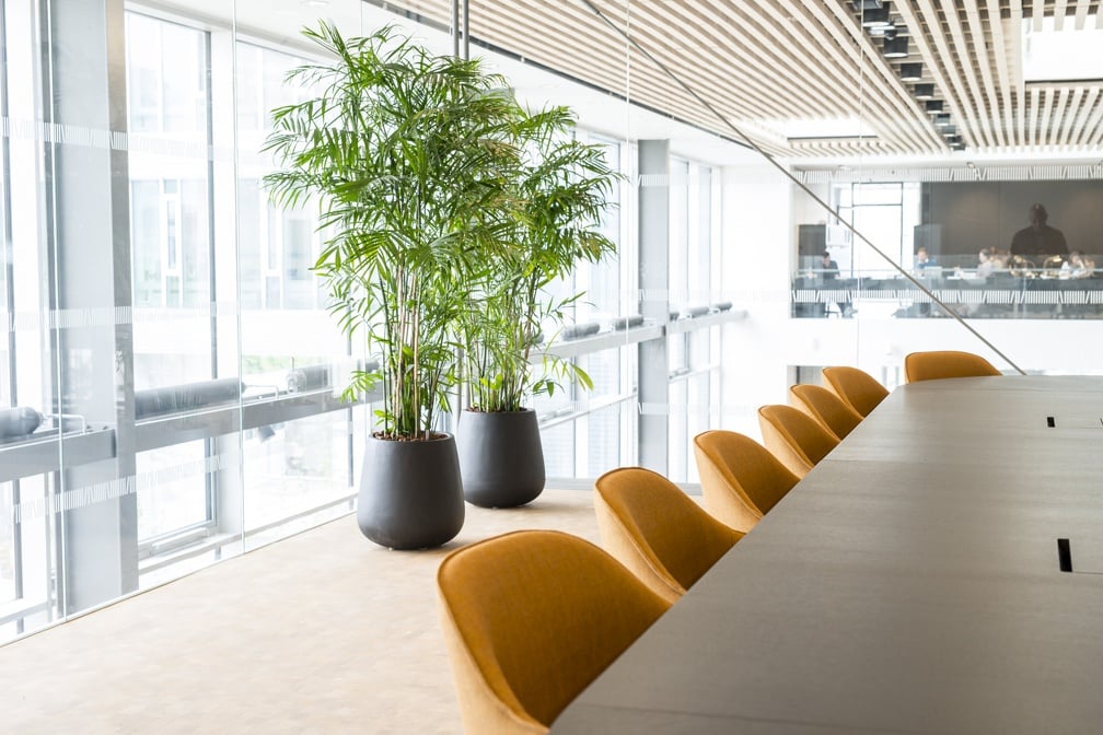 Donga Low krukor i miljö - två svarta krukor med bambuväxt på kontoret