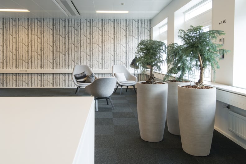 Friend High Neptun krukor i kontorsmiljö med växter på golv