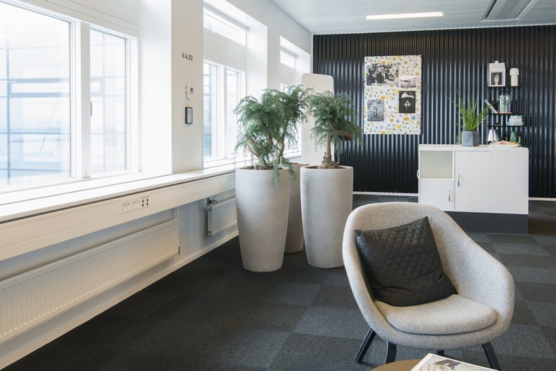 Två höga beige krukor med växter i modern kontorslokal vid fönster