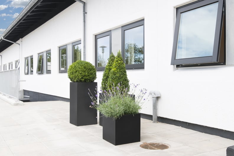 Svarta kvadratiska planteringskärl med växer på terrass mot vit byggnadsfasad