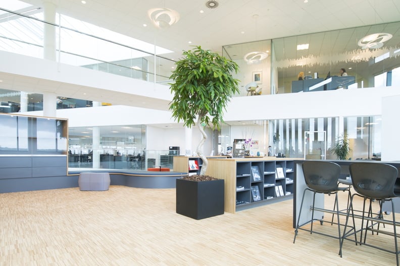 Växthängare med gröna blad i modernt kontorsmiljö med trä och steinläggning