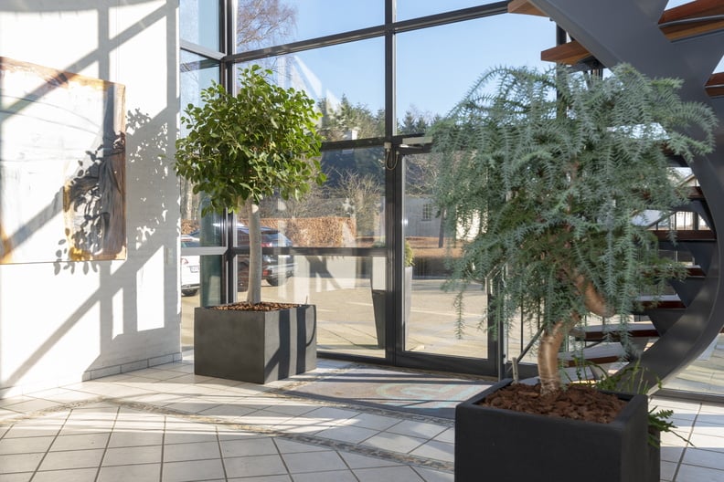 Växter i svarta kvadratiska krukor på utomhusterrass med fönster och solskuggor