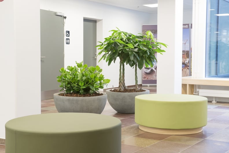 Tre planterkärl i miljö: två gråa skålformade krukor och en limegrön cylinder med växter i kontorsrum