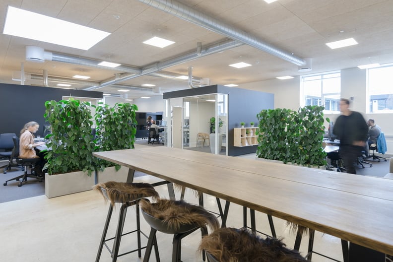 Moderna kontorsplantörer med gröna växter på bänk i öppet kontorslandskap