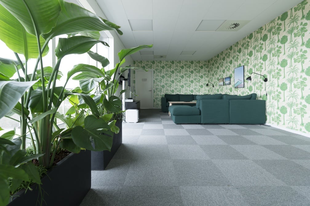 Svart rektangulär planteringskruka med grön växt i kontorsinteriör