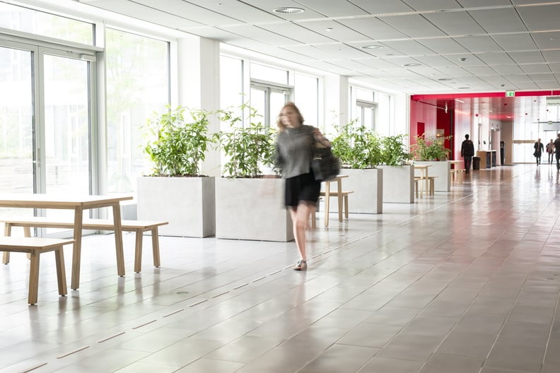 Växtbehållare Nile Fiberstruktur i modernt kontorsmiljö med vita växter, golv och stora fönster