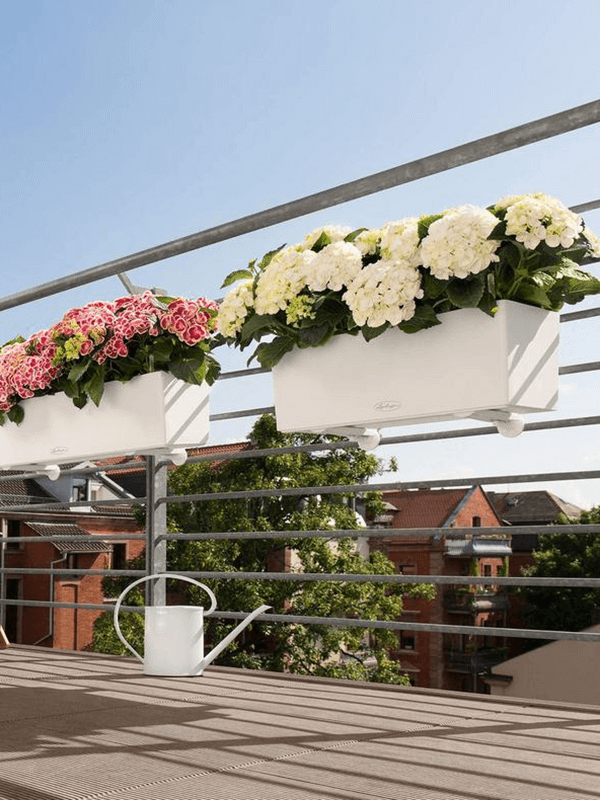 Balconera växtkrukor med hortensia på terrassräcke