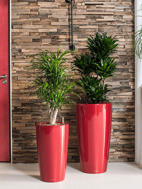 Två röda Lechuza Rondo-krukor av olika storlek med växter, placerade på vit yta mot tegelvägg