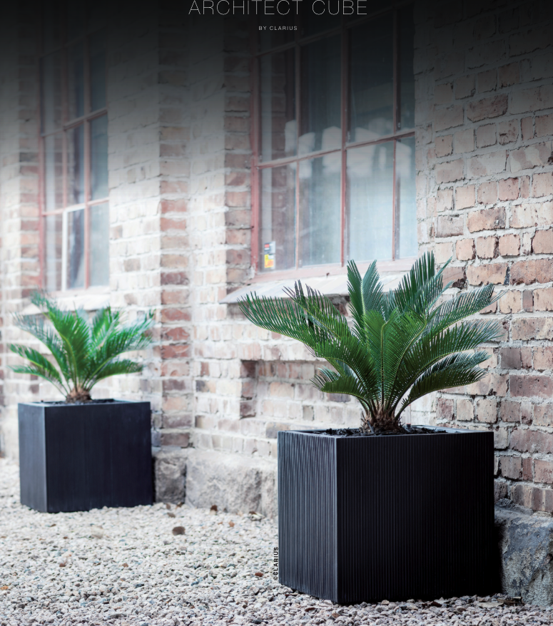 Två svarta kubformade krukor med palmor i arkitektonisk miljö mot tegelvägg