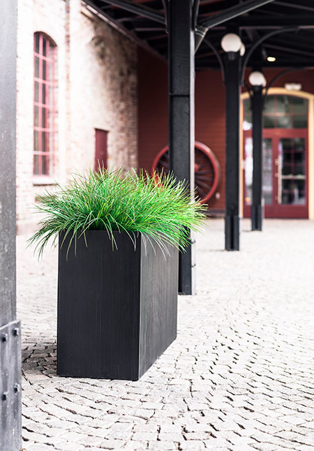 Svart rektangulär kruka med gult gräs på utomhusmiljö med trottoar