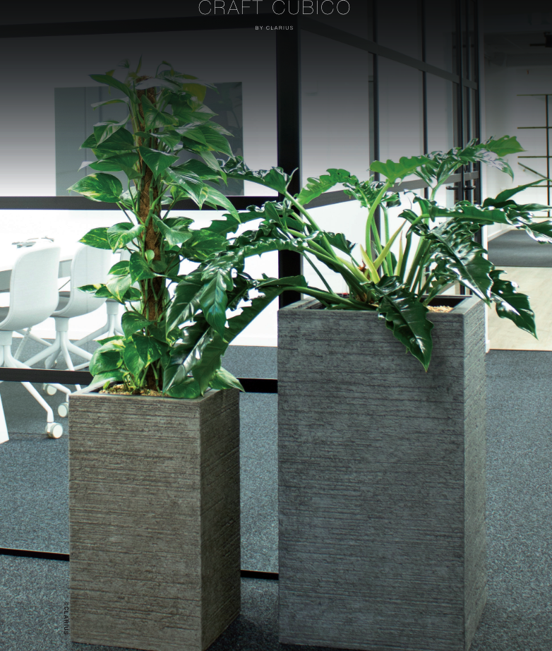 Tre grå kvadratiska krukor med växter i modern kontorsmiljö med glasvägg