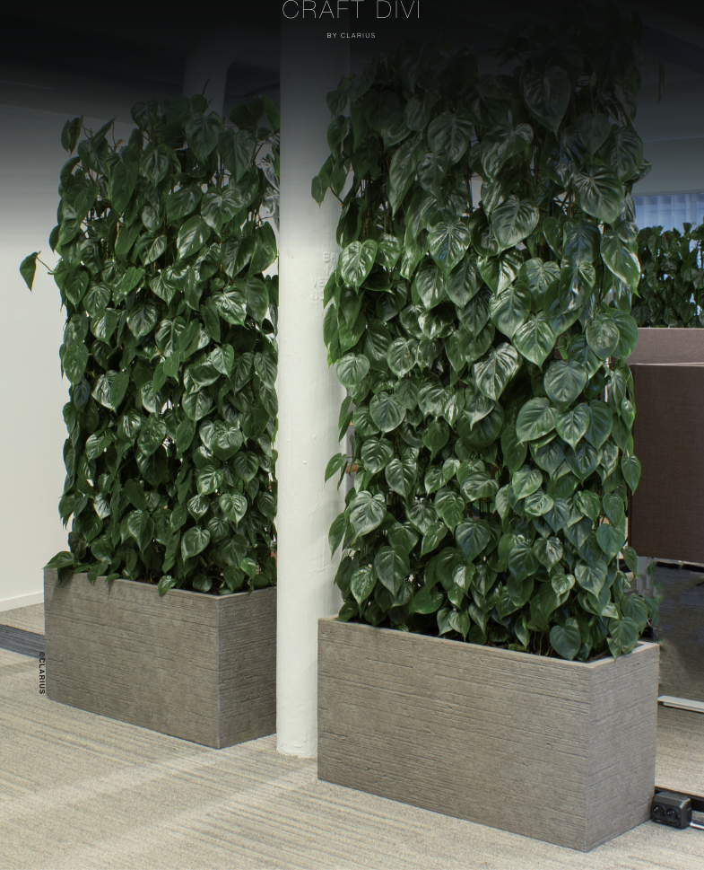 Två bruna rektangulära krukor med spaljé och klängväxter i inredning