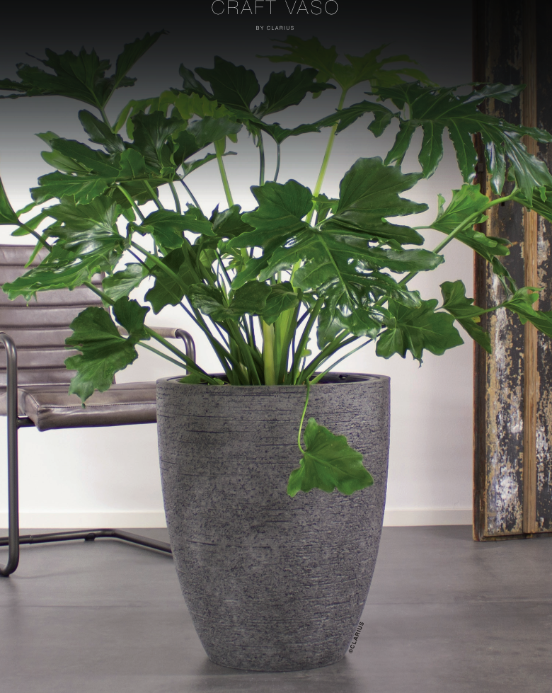 Grå cylindrisk kruka med Philodendron-växt på golv med vita väggar, möbler och trappor