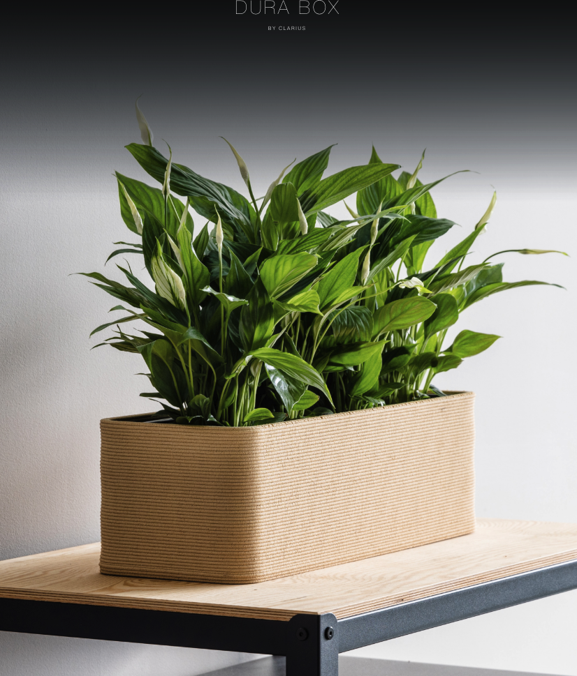DURA BOX rektangulär kruka i naturlig färg på trähylla, innehåller grön växt