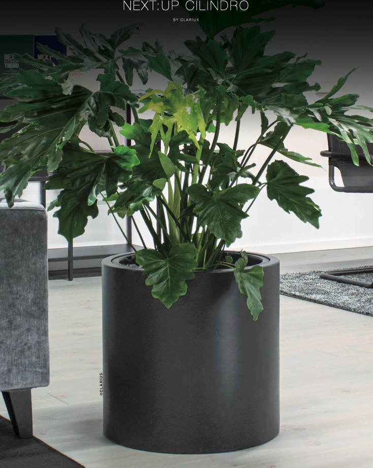 NEXT:UP CILINDRO cylindrisk svart kruka med grön växt i minimalistisk inredning, på ljust golv