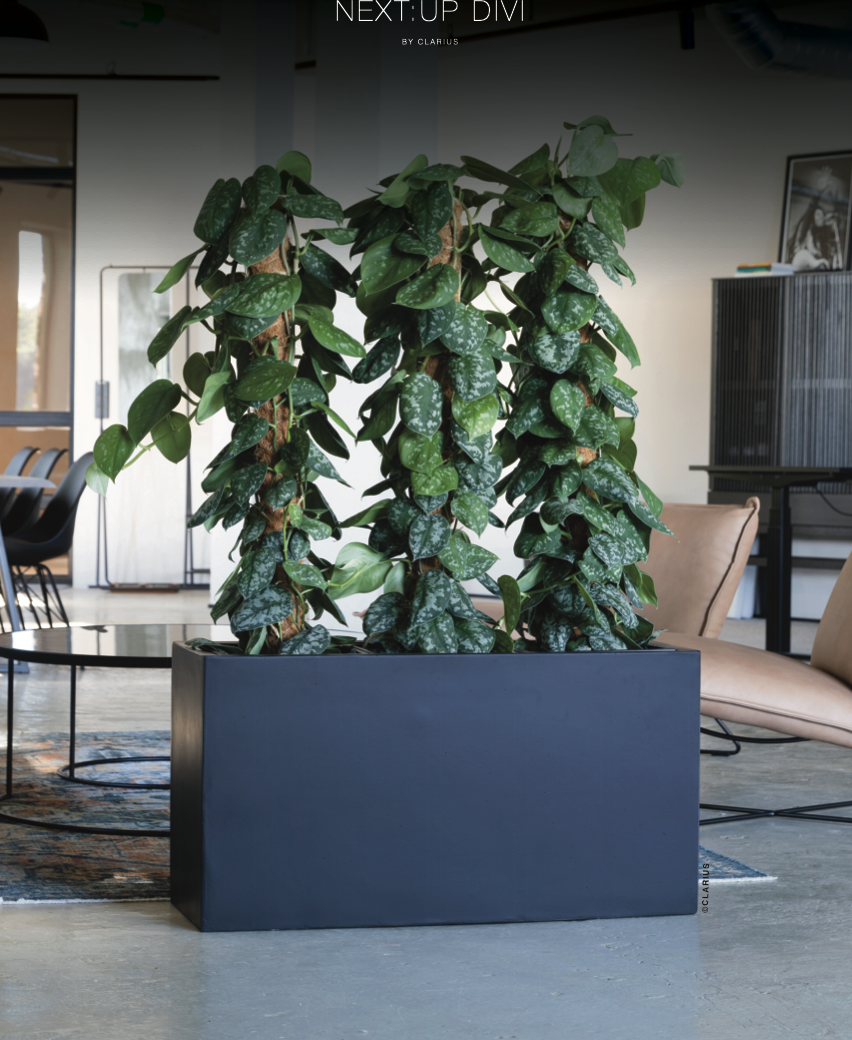 Rektangulär svart plantörkruka med hängande gröna växter i ett modernt inredningssammanhang