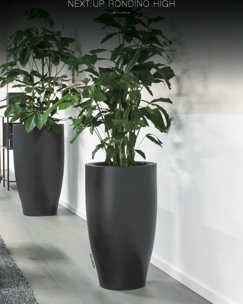 Två svarta högväxta krukor med grönväxter framför vit vägg i inredning