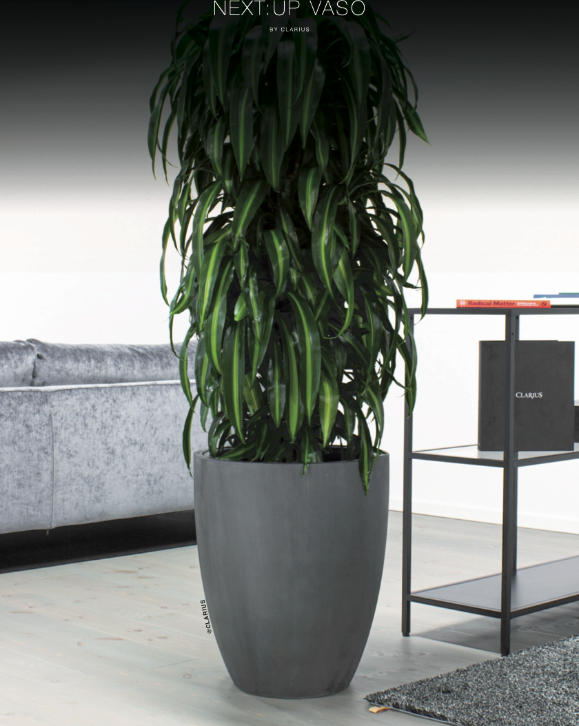 Grå planterkruka NEXT:UP VASO med hängande växt i inrednadsmiljö med golv, möbler och fönster