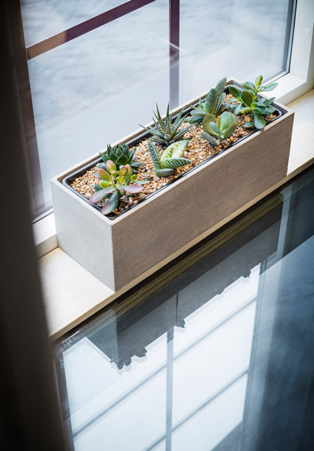 STYLE BOX grå rektangulär planteringskruka på fönsterbräda med suckulenter och gröna växter