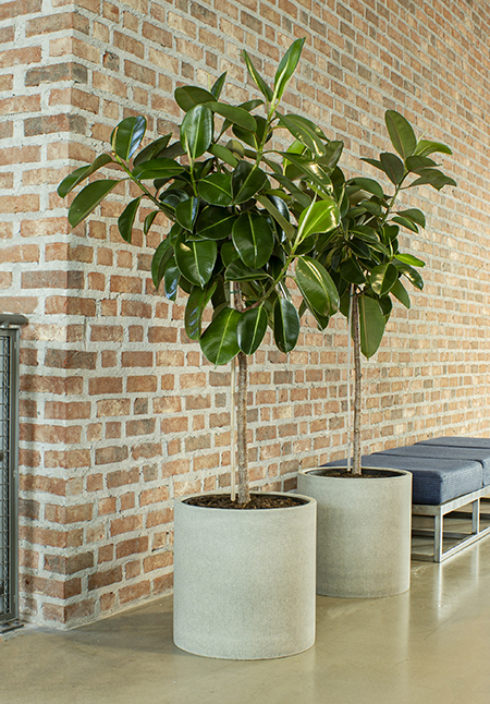 Två grå cylindriska krukor på bänkskiva mot tegelvägg, med grönväxt i den främre krukan