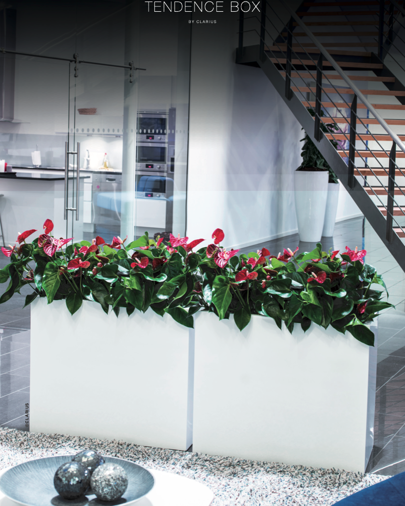 Två vita rektangulära TENDENCE BOX-krukor med rosa-röda blommor (petunia eller liknande) och grönt löv i modern miljö