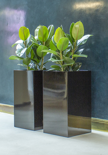 Tre svarta kvadratiska krukorna med växt. En visar hjul. Står på vit yta med blå vägg bakom.