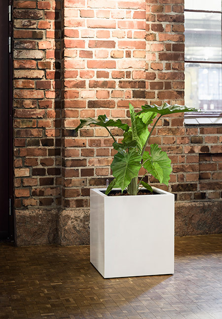 Vit kubformad kruka med hjul på tegelvägg-miljö med växt