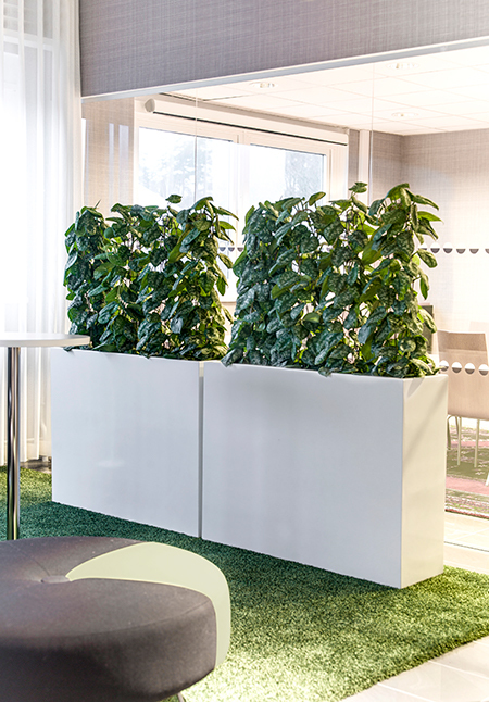 Två vita rektangulära växtbehållare med höga gröna växter i ljust inredningsrum