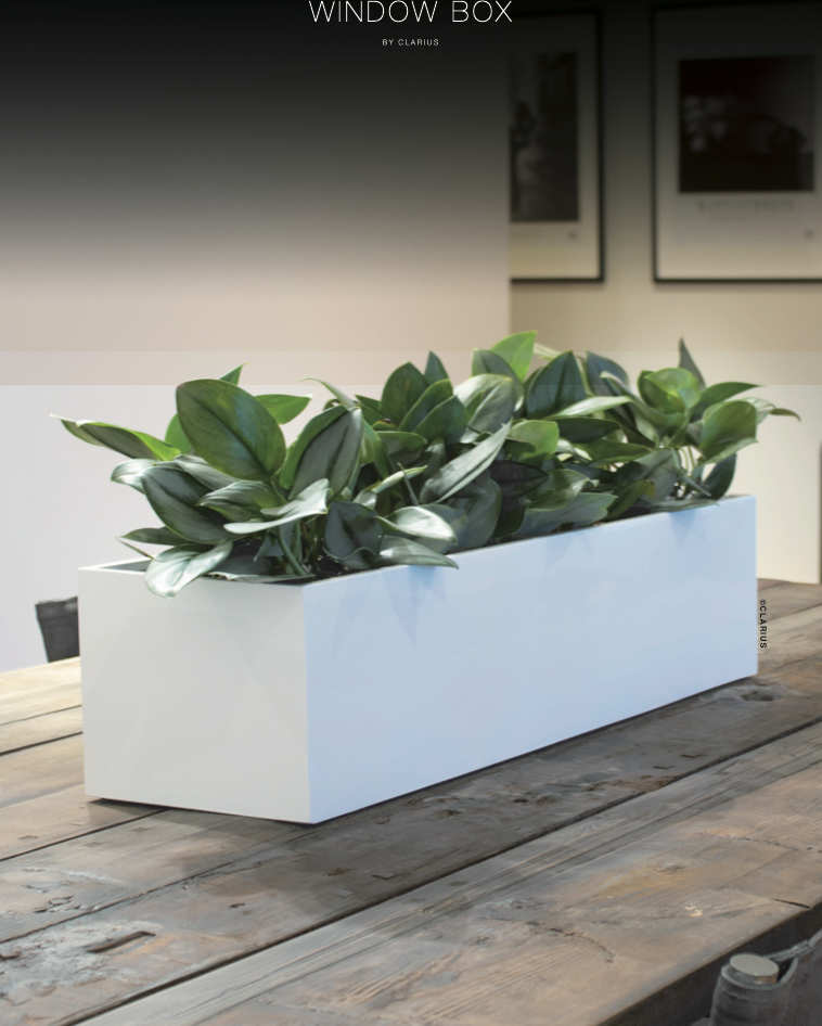 Vit rektangulär window box på trälåda med gröna växter, inomhusmiljö med fönster och vägg