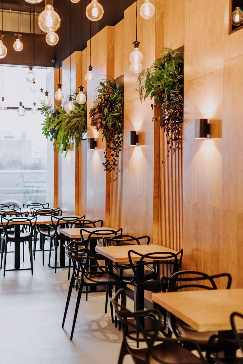 Växttavlor med hängande gröna växter i restaurang/café-miljö med trävägg