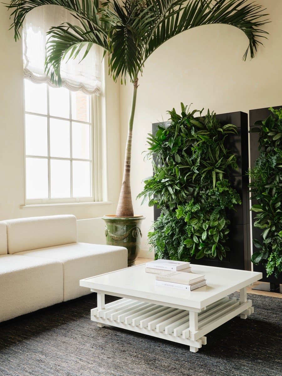 Rumsavdelare Live Divider Plus Svart 3 med växter i källarväggen, placerad i modernt inreddat vardagsrum