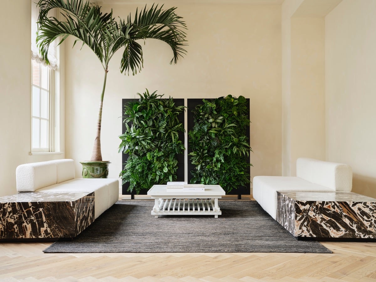 Rumsavdelare med levande växter mot vita väggar, golv och möbler i inredning