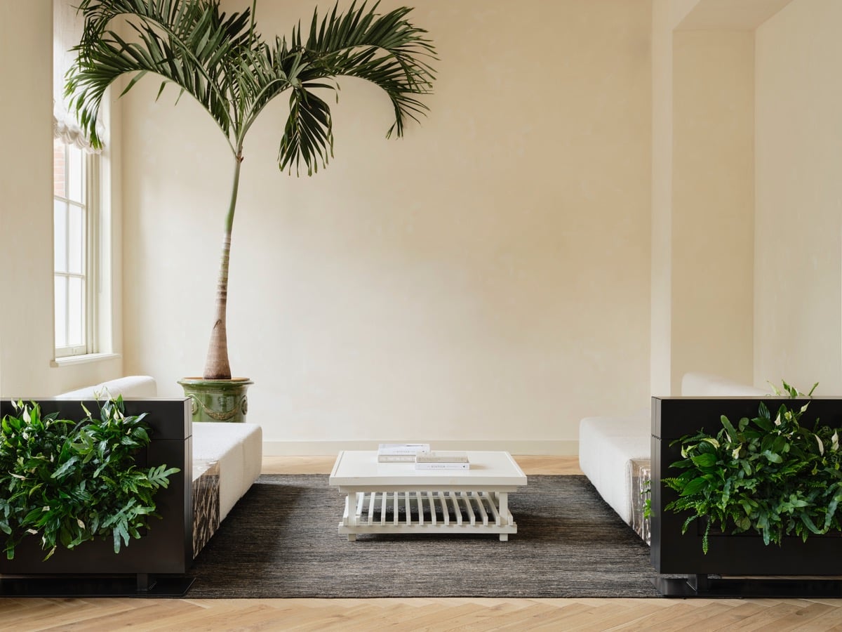 Rumsavdelare med svarta plantörkrukor och gröna växter i modern inredning