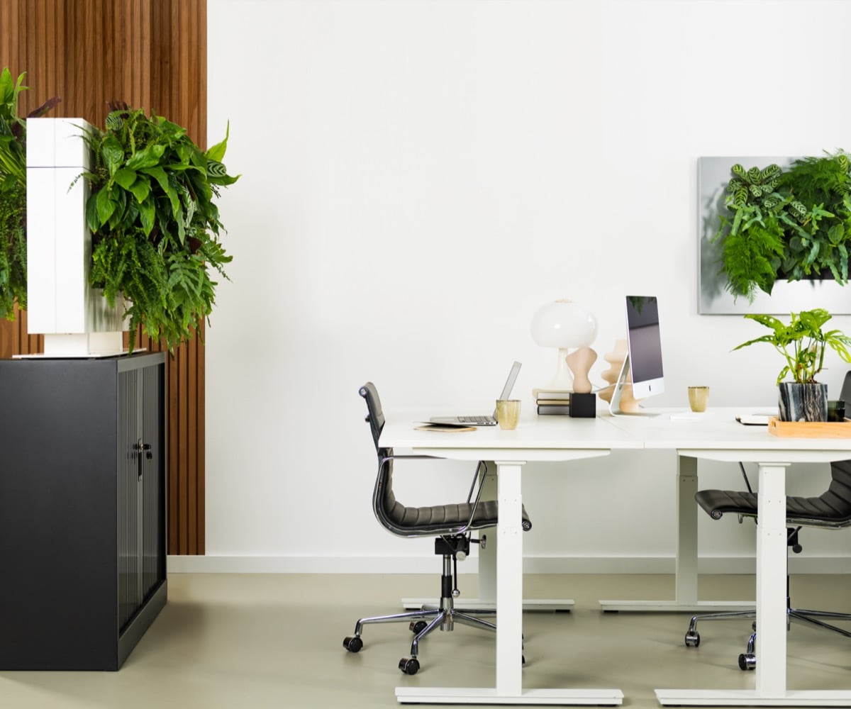 Kontorsinteriör med Rumsavdelare Live Divider Plus Vit som växtvägg i bakgrund. Växter i vita krukor.