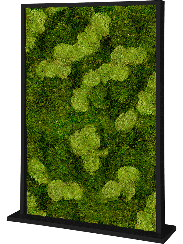 Moss Divider avdelare med mossvägg i svart MDF-ram, gul och grön moss